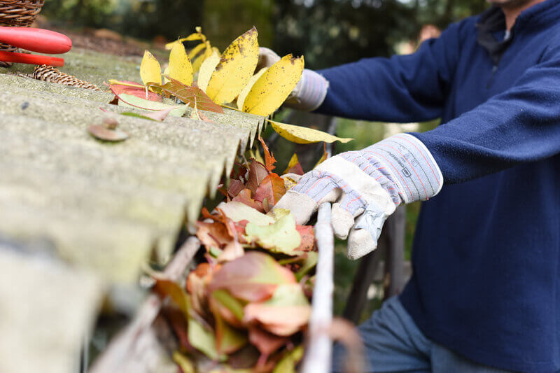 Autumn leaves equal blocked gutters – gutter cleaning services