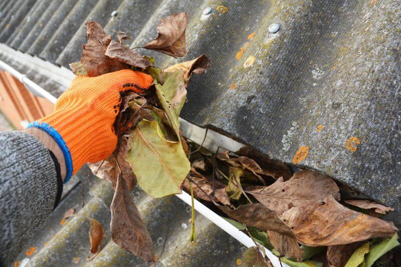 Autumn leaves in gutter