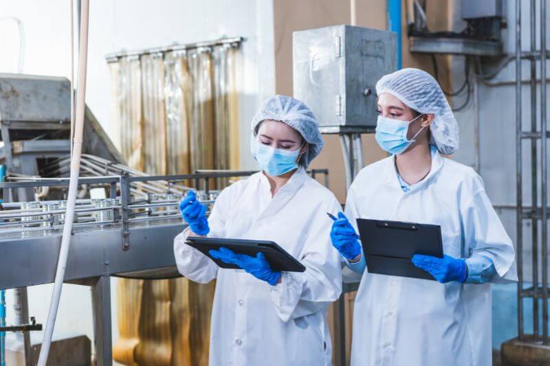 Two food factory auditors