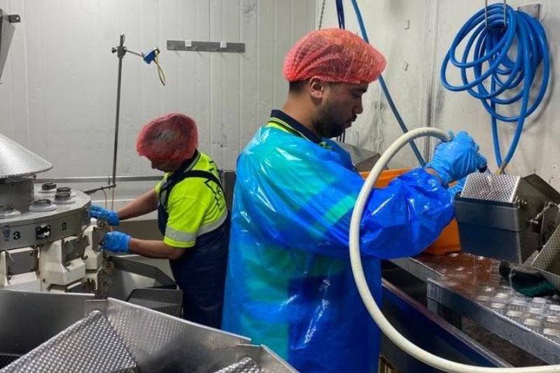 wo food factory industrial cleaners